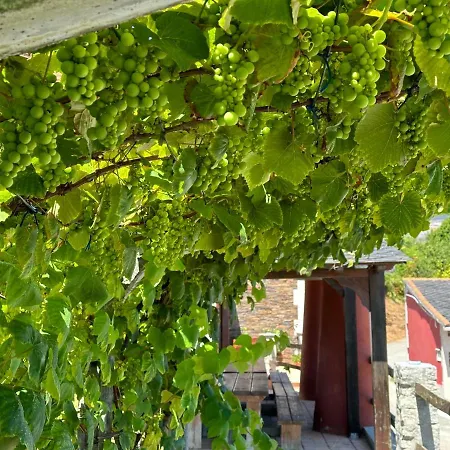 Casa Do Lagar, Da Abrela 度假居