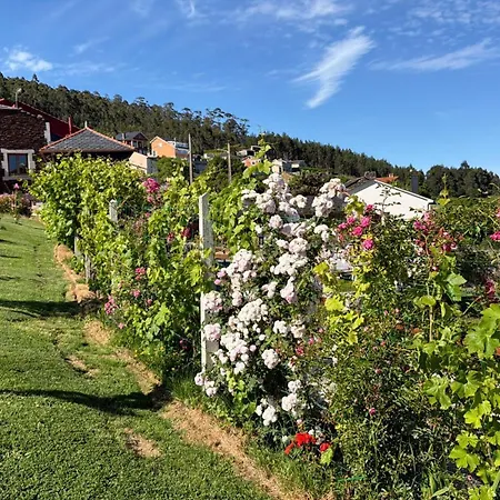 Casa Do Lagar, Da Abrela Semesterbostad O Vicedo