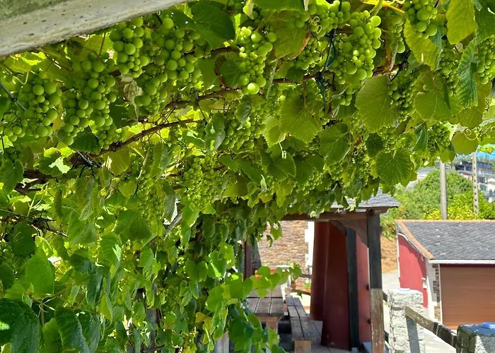 Casa Do Lagar, Da Abrela Tatil Evi