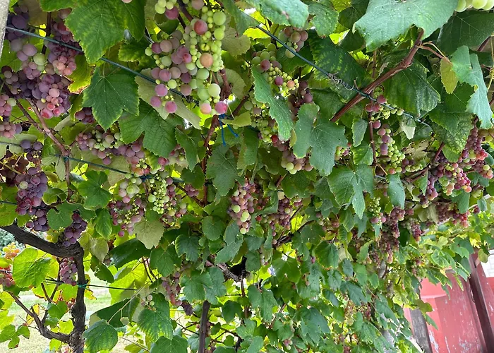 Casa Do Lagar, Da Abrela Tatil Evi